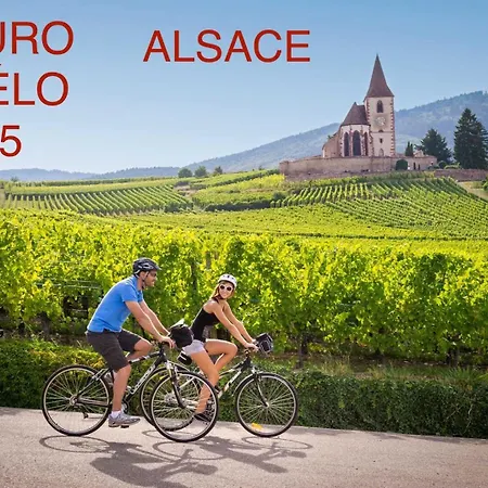 Pres Colmar 6 Bis Διαμέρισμα *